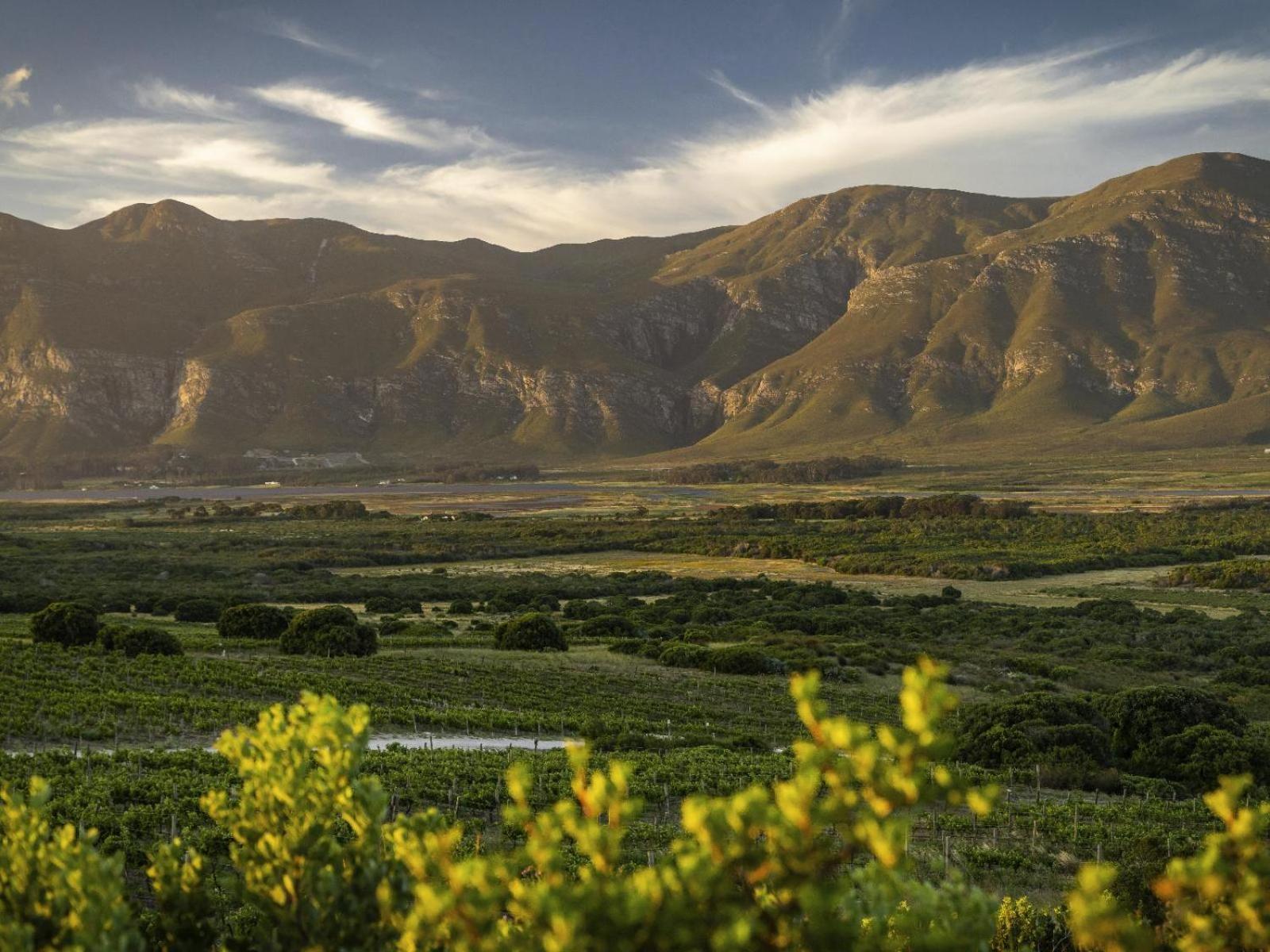 斯坦福 Springfontein Wine Estate酒店 外观 照片