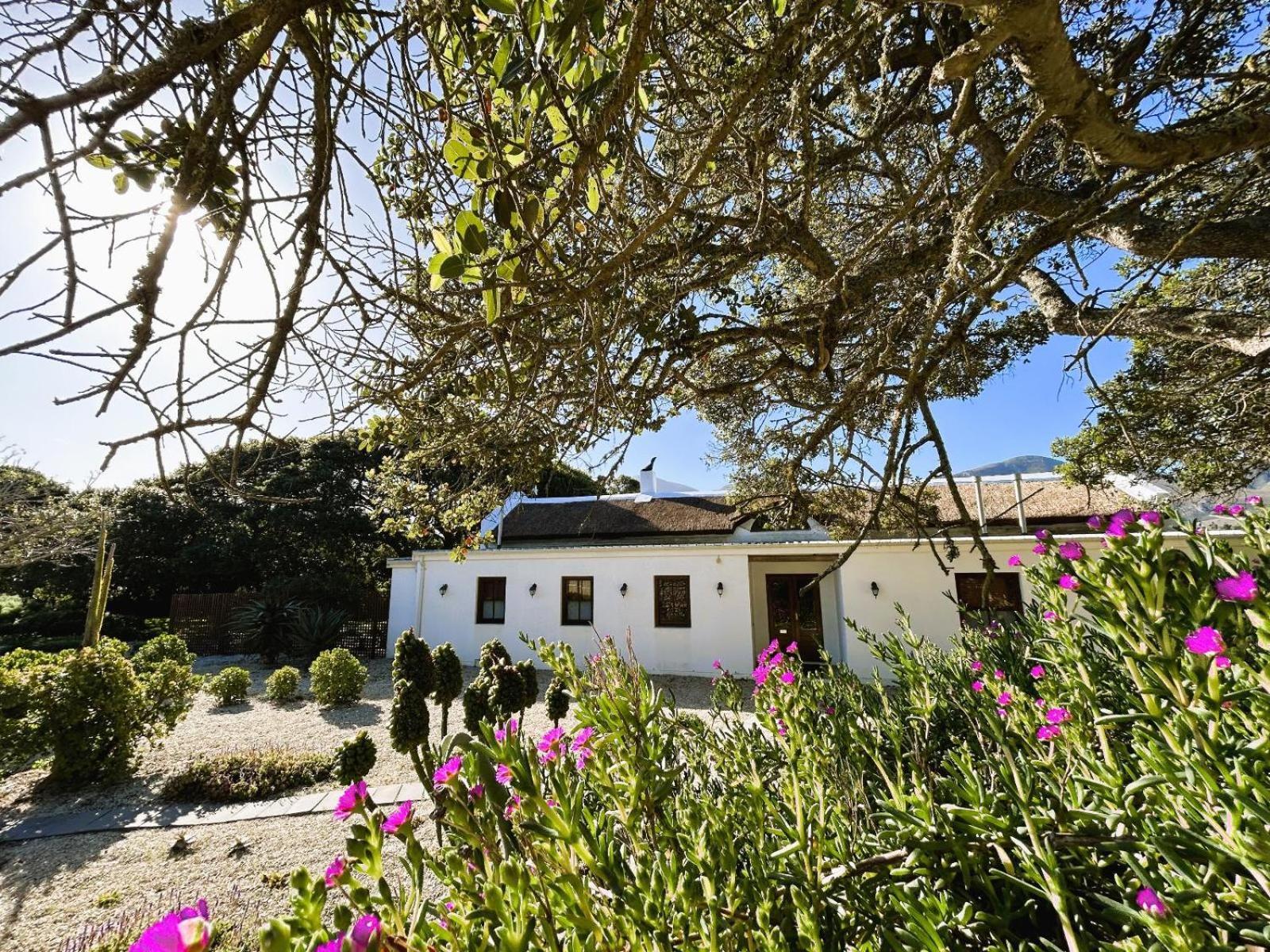 斯坦福 Springfontein Wine Estate酒店 外观 照片